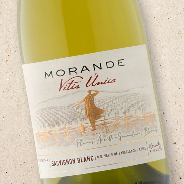 Morande Vitis Unica Sauvignon Blanc 2023