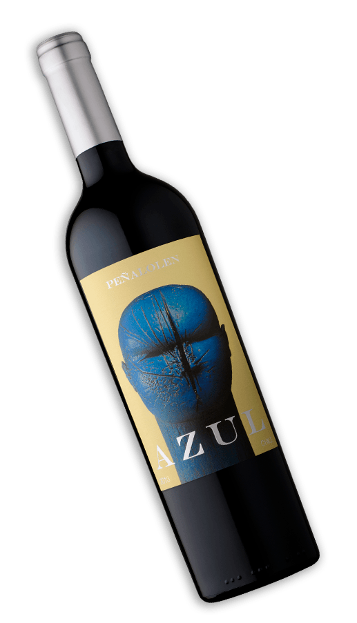 PEÑALOLEN AZUL MEZCLA TINTA 750 ML