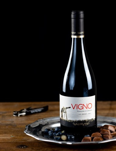Valdivieso Eclat Vigno Carignan 2019