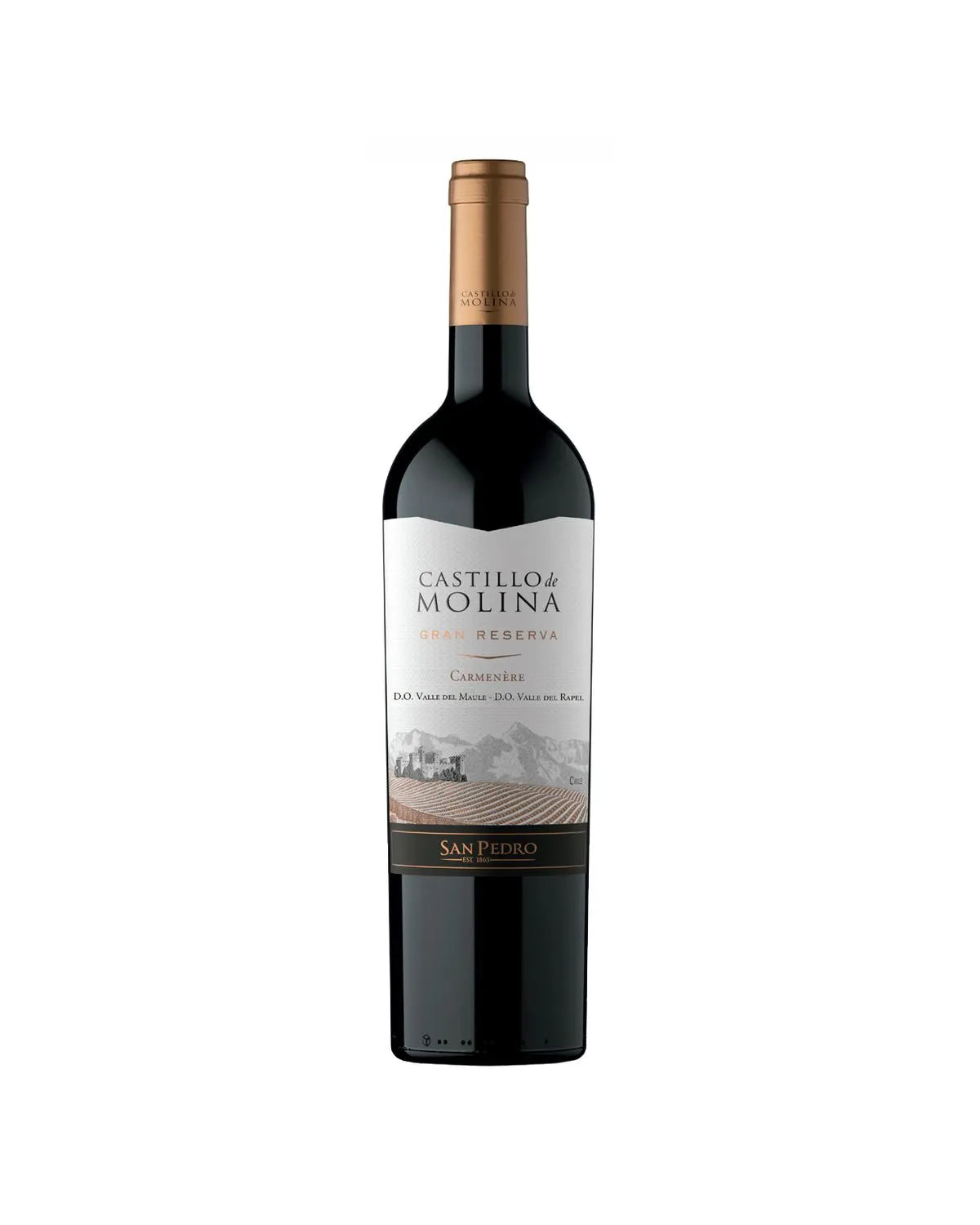 San Pedro Castillo De Molina Carmenere Gran Reserva