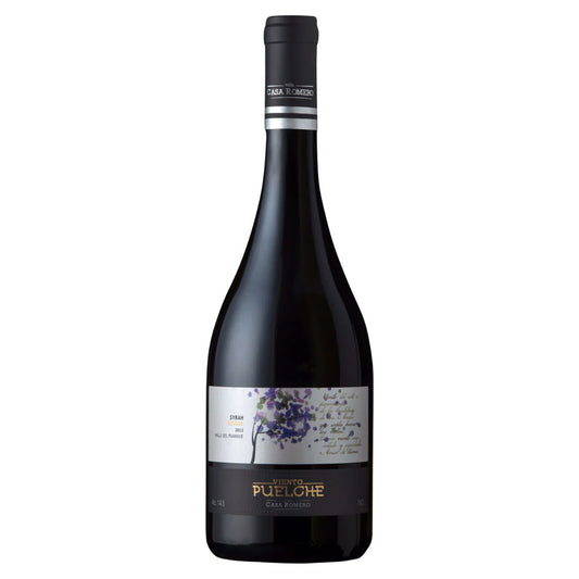 Casa Romero Viento Puelche Syrah 2022