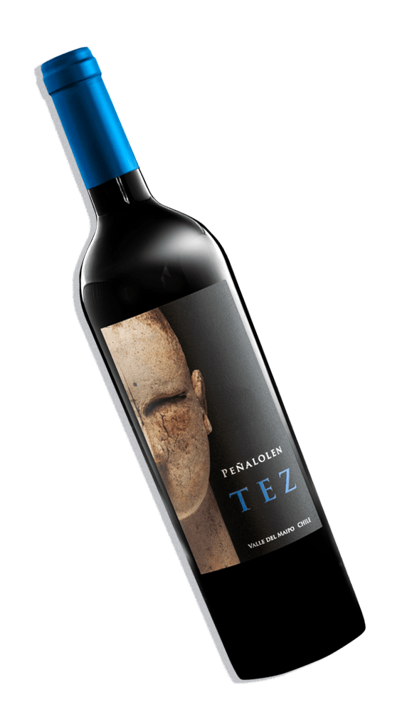 Peñalolen Tez Ensamblaje Tinto 2012