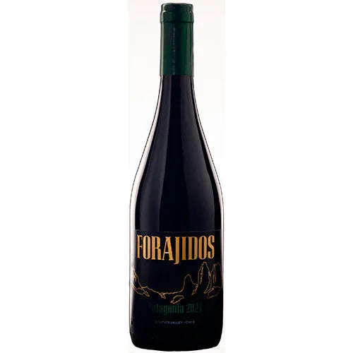 Forajidos Patagonia Cinsault 2024