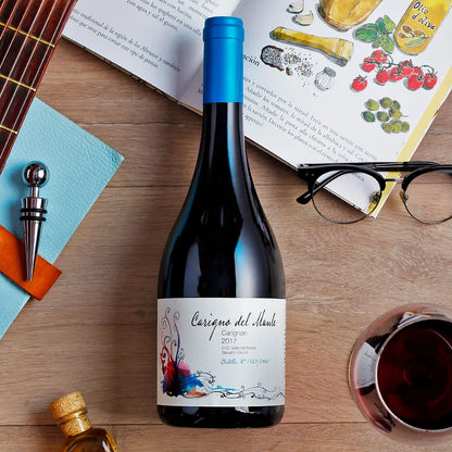 Moretta Wines Carigno Del Maule Carignan 2022