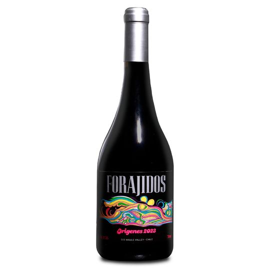 Forajidos Origenes Pais