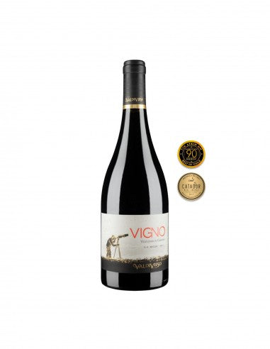 Valdivieso Eclat Vigno Carignan 2019